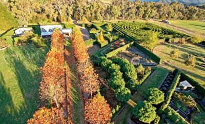 High Country Maze